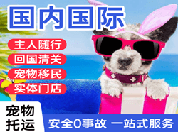 昌都邦达空运地址国际宠物托运 【国